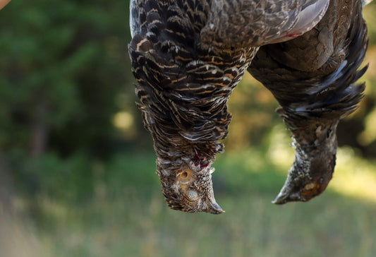 No-Fly-Zone-Waterfowl-Grouse-Recipe