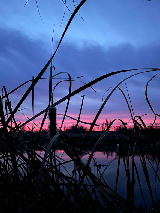 Getting a Girl into Duck Hunting - The No Fly Zone
