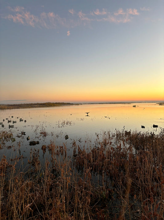 No Fly Zone Waterfowl decoy spread teal silhouettes