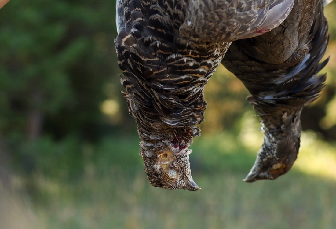 No-Fly-Zone-Waterfowl-Grouse-Recipe
