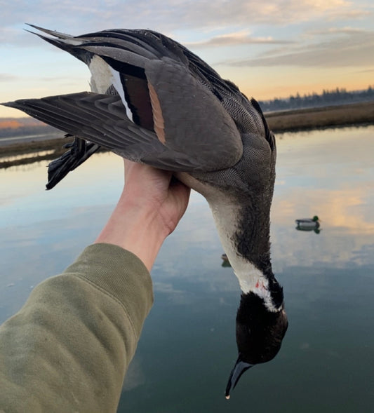 Pintail-Hat-Northern-Pintail-No-Fly-Zone-Waterfowl
